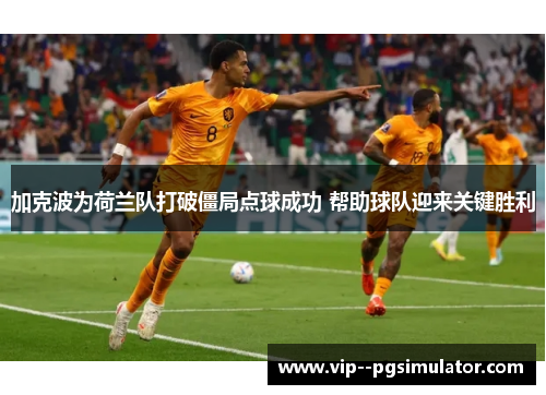 加克波为荷兰队打破僵局点球成功 帮助球队迎来关键胜利